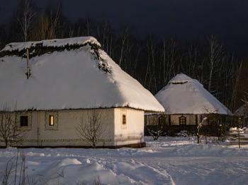 IMG_7372.jpg