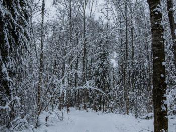 IMG_7573.jpg