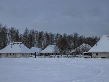IMG_7700.jpg