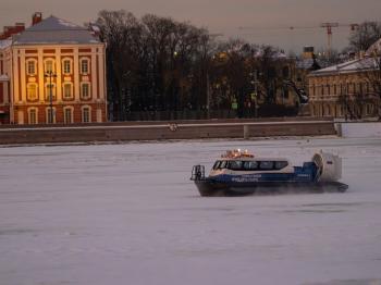 IMG_7982.jpg