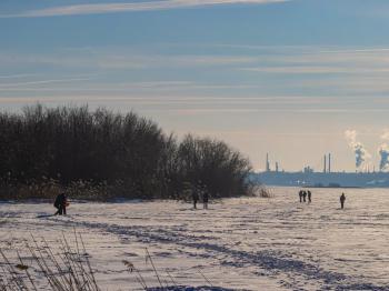 IMG_8158.jpg